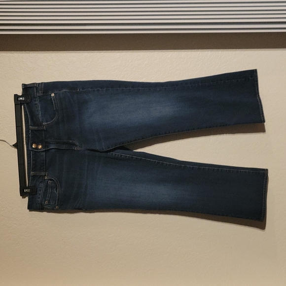 American Eagle Outfitters Denim - American Eagle Artist Crop Jeans Size 14
